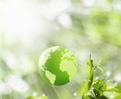 Green efforts, local MA moving company, energy-efficient climate-controlled storage warehouse, green environmental initiatives
