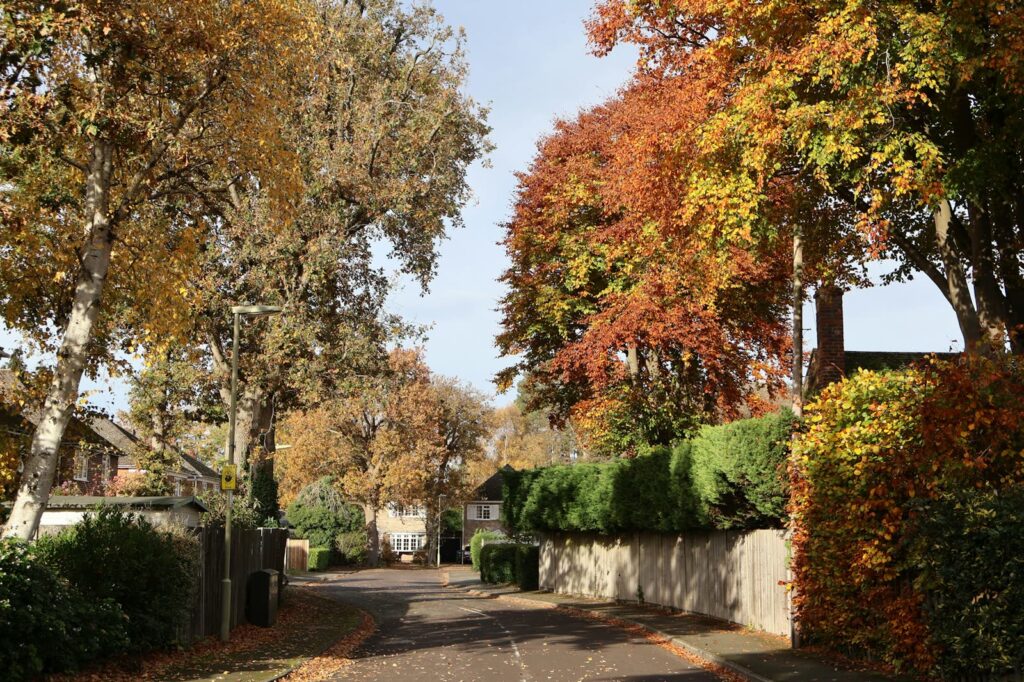 6 Tips for Moving in the Fall