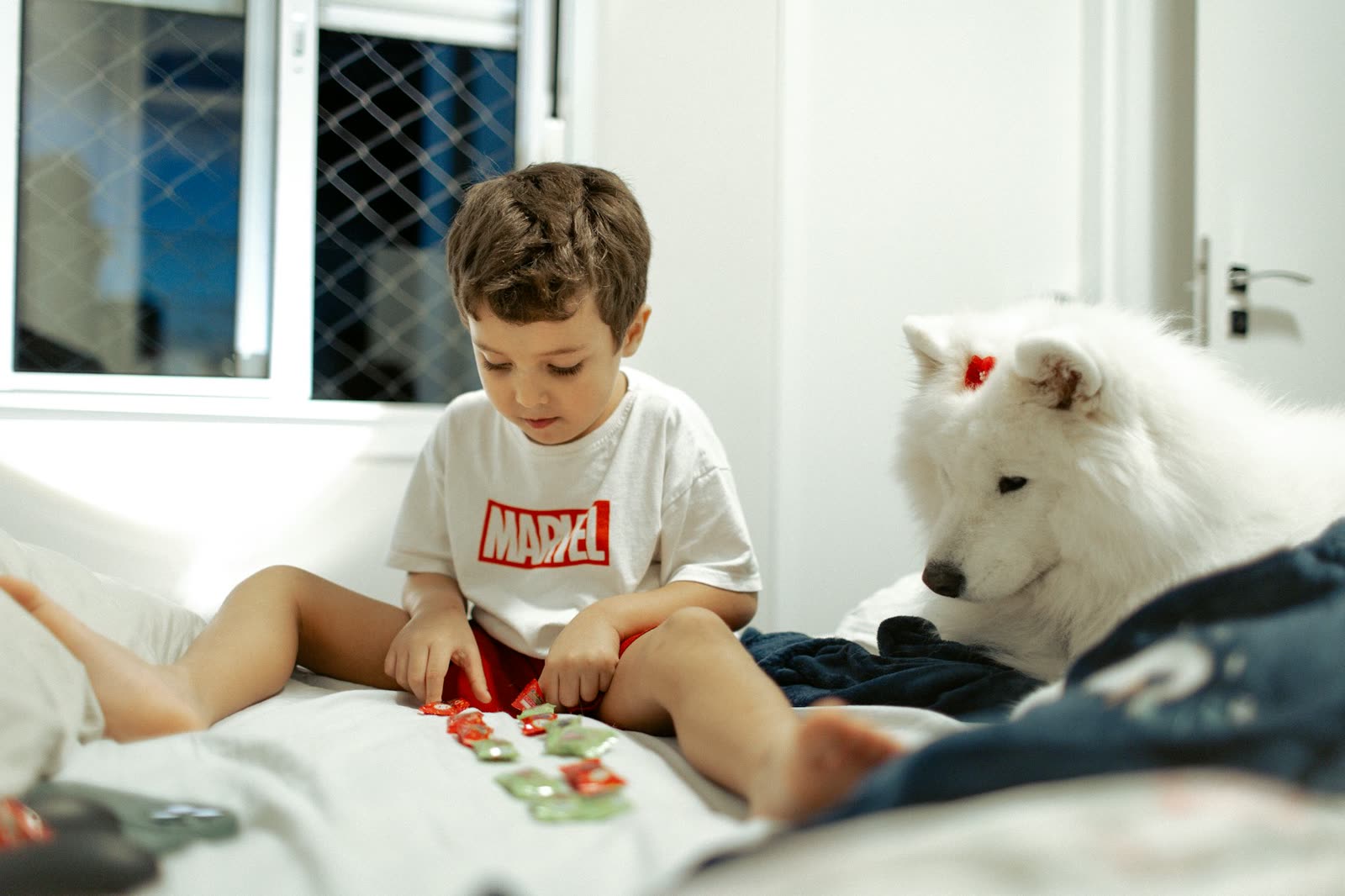 family dog