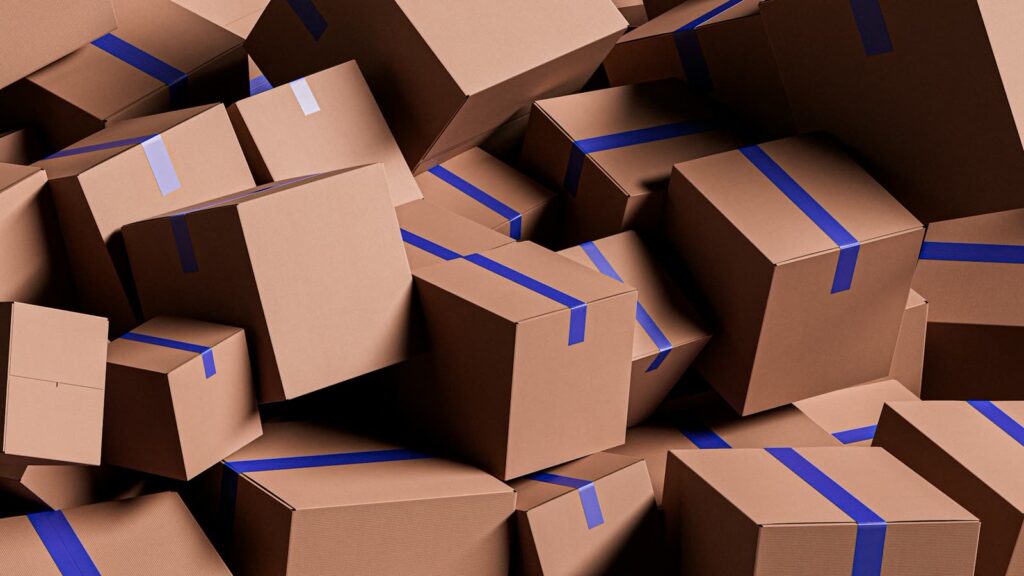 Should I Hire Professional Packers For My Next Move?