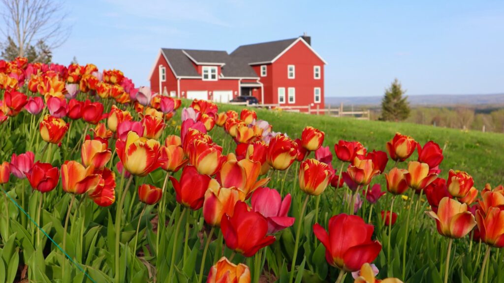 Tips for Moving in the Spring